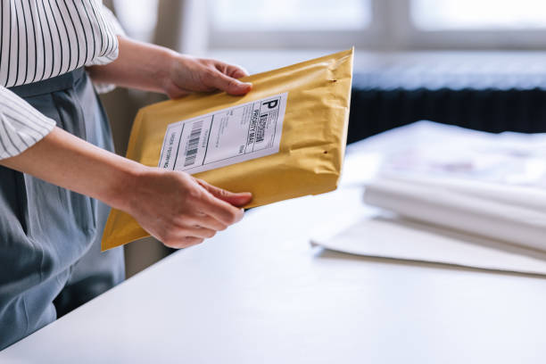 Professional Mail Services